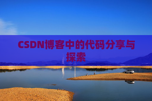 CSDN博客中的代码分享与探索